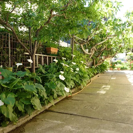 Apartment Brezza Marina